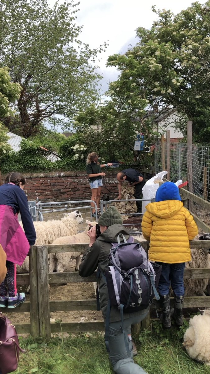 kittykittyrose's tweet photo. We enjoyed @OpenFarmSunday @Susans_Farm today! Our school has been on brilliant trips here for years and my little boy loved it today too.Well done to all the team for a great showcase of what you offer. #farming #cumbria @WildlifeTrusts https://t.co/FrORx9JGTY