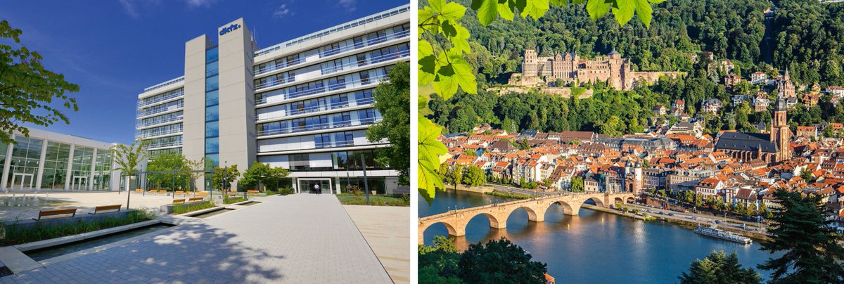 Manuel Rodríguez Paredes (@mrodpar) on Twitter photo After a couple of great years at <a href="/uni_mainz_eng/">Mainz University</a>, I recently returned to <a href="/DKFZ/">DKFZ</a> to team up again with Prof. Dr. Frank Lyko and the fantastic scientists of my beloved <a href="/dkfzEpigenetics/">DKFZ Epigenetics</a>. I am really very happy to be back! See you in Heidelberg from now on for more & better science🧬! After a couple of great years at <a href="/uni_mainz_eng/">Mainz University</a>, I recently returned to <a href="/DKFZ/">DKFZ</a> to team up again with Prof. Dr. Frank Lyko and the fantastic scientists of my beloved <a href="/dkfzEpigenetics/">DKFZ Epigenetics</a>. I am really very happy to be back! See you in Heidelberg from now on for more & better science🧬!