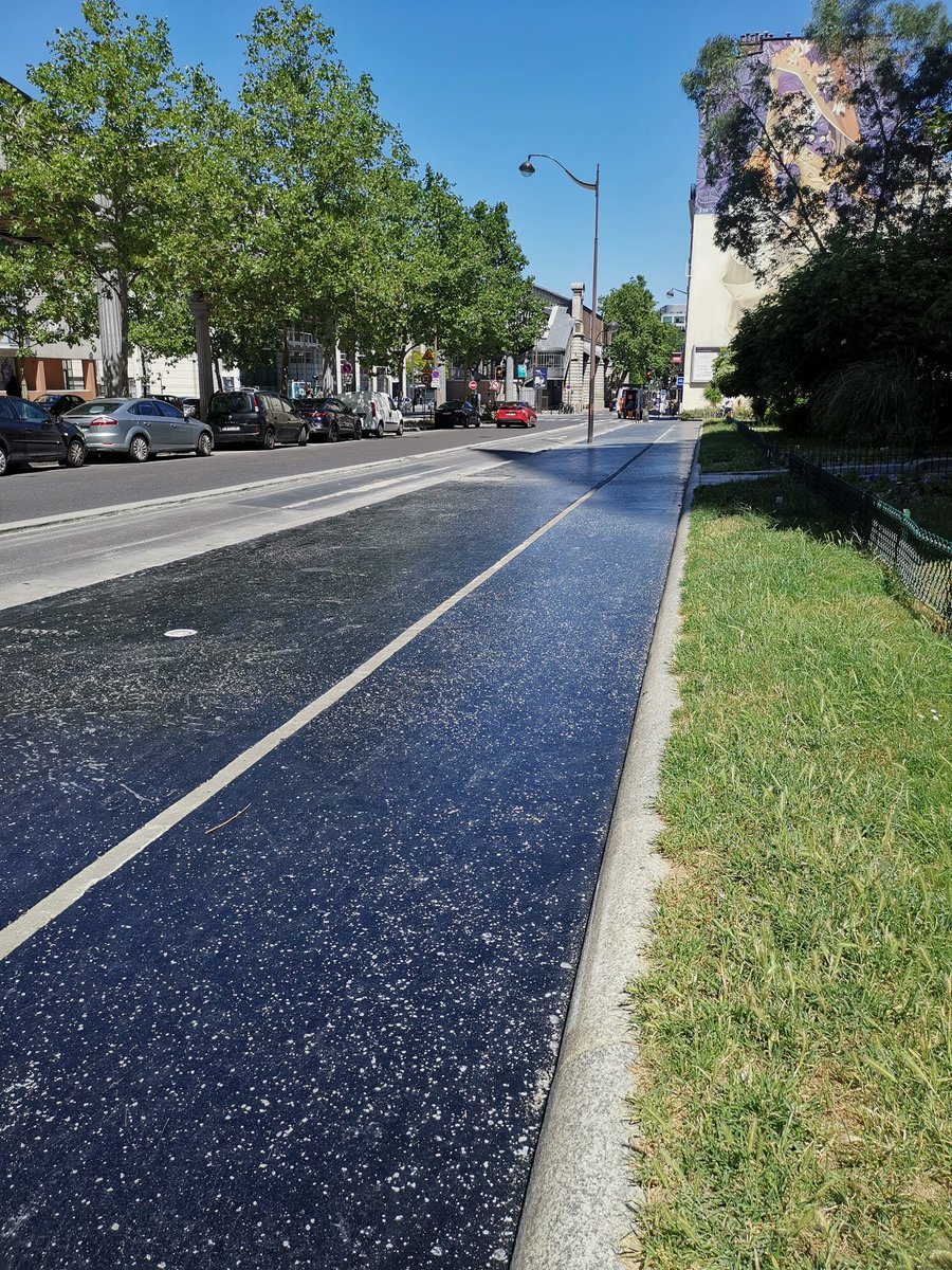 CécileGruber tweet media