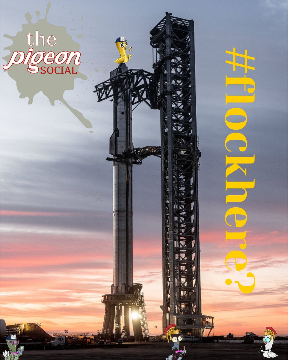 FreedomFlockerz's tweet photo. @engineers_feed #noflocking #pigeonsflocktogether #flockhere https://t.co/9feC0UZuKZ