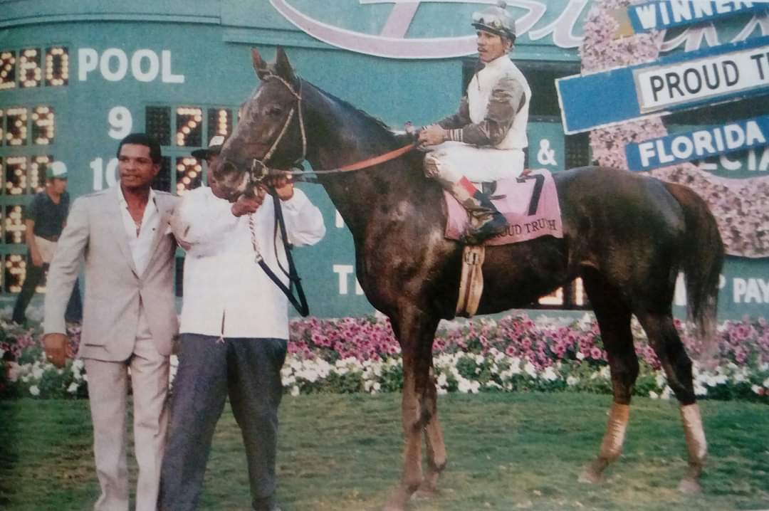 HORSERACING1002's tweet photo. PROUD TRUTH (GRAUSTARK) #ProudTruth a G1 Stakes winner @BreedersCup classic winner. Bred,owned and stood @darbydanfarm and Haras Cerro de Punta in Panama where he was a leading sire. https://t.co/322w6RBrem