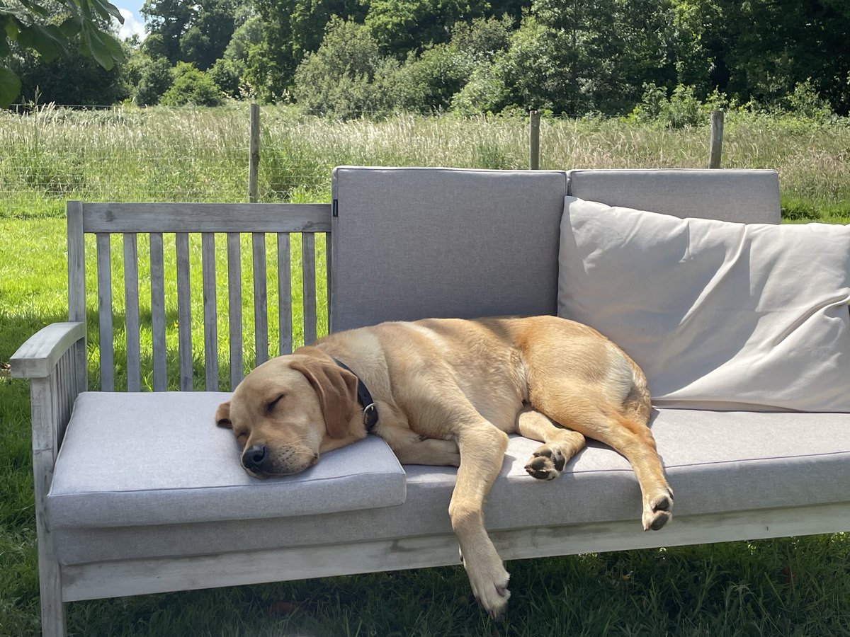 Lazy Sunday