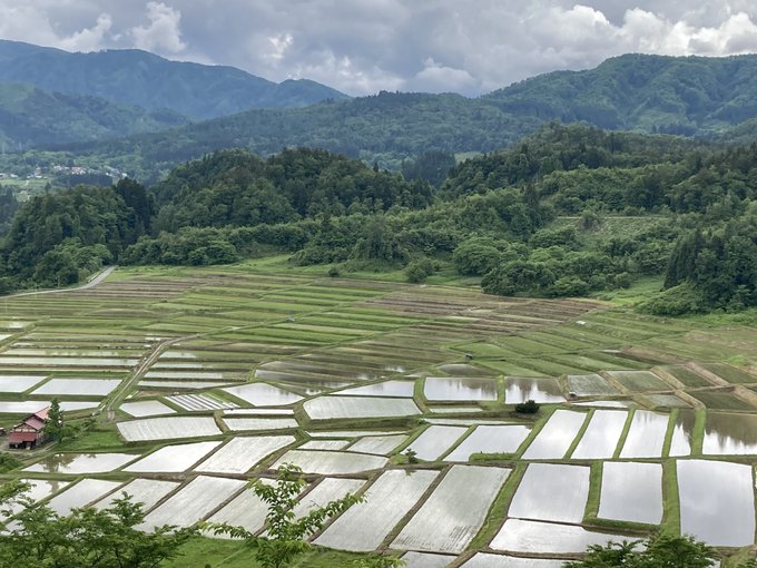日本の棚田百選のtwitterイラスト検索結果