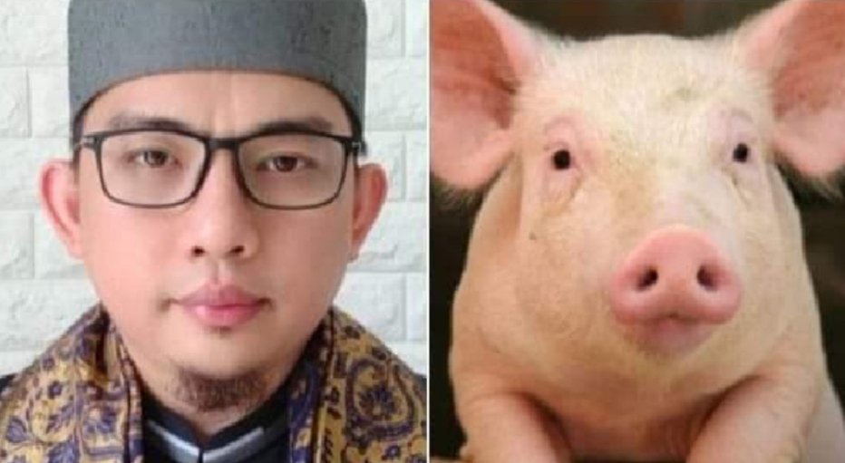 Kebetulan lagi viral, mana yg lebih imut,? 
Yg mengharamkan ; Like
Yg di haramkan.     ; RT
