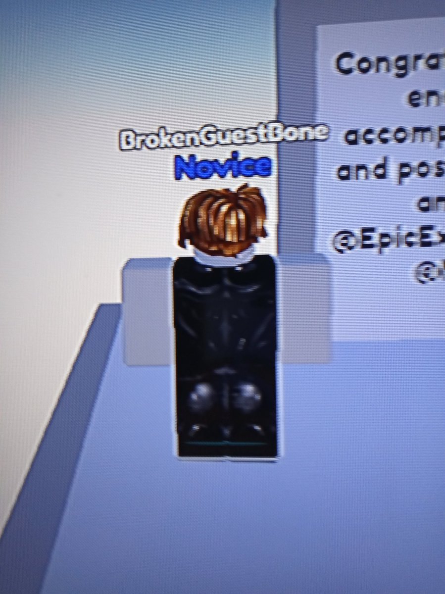 SwordStudios1's tweet photo. #DCoH @EpicExpROBLOX , @TinyGecko920 , @NotBleepOnRBLX , and @solzyease https://t.co/hYb0gsiXUE