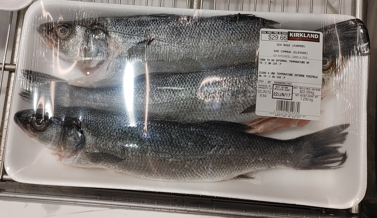 AndromedusWolf's tweet image. Retweet to make an Animal Crossing player angry :3