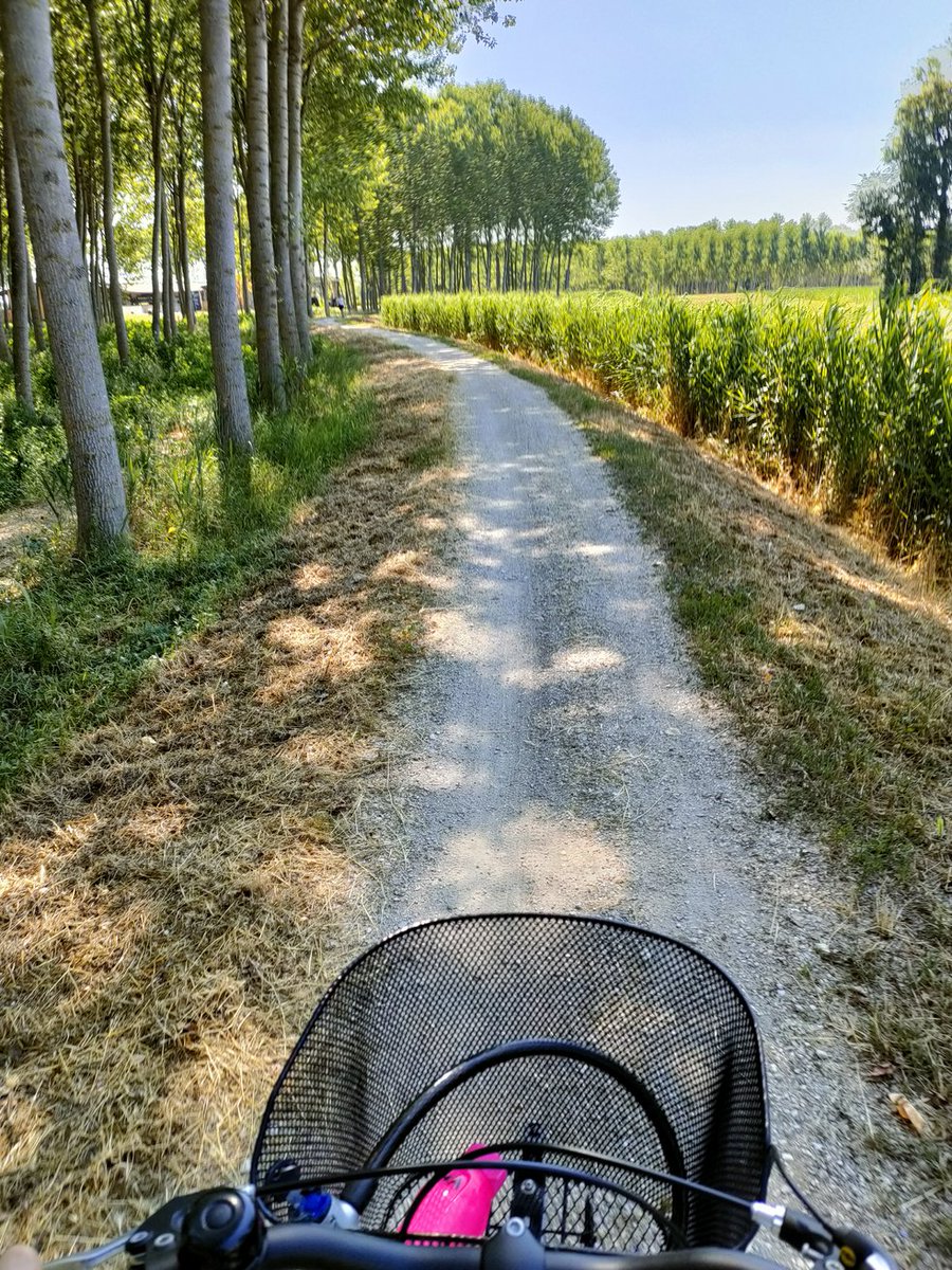 LisaVise's tweet photo. #bike #green #relax #peace https://t.co/X8V96sOMrR