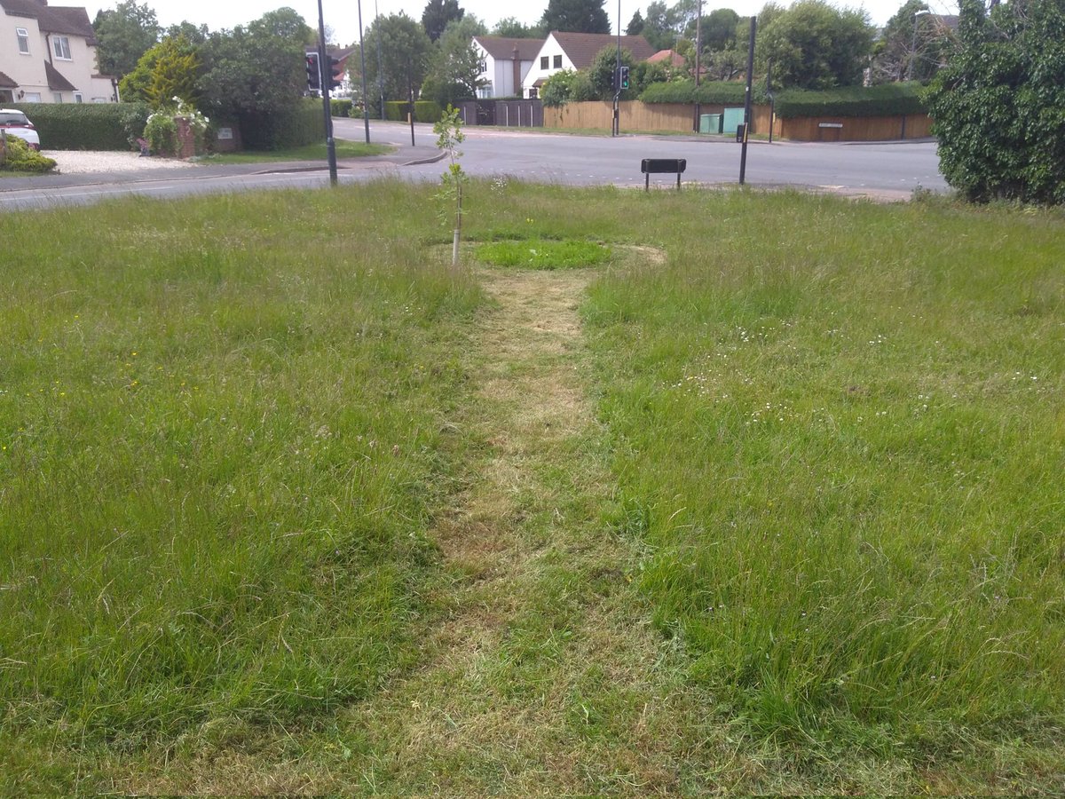 GreenJimll's tweet photo. Based on comments from local folk and passers-by, I've strimmed the edge of our meadow green a little wider and made a "ride" so that people can easily see and get to the wildflower circle. Surprisingly warm work for an hour, so now sitting down in the garden with a cuppa! ☕ https://t.co/Jy8qLb8Olx