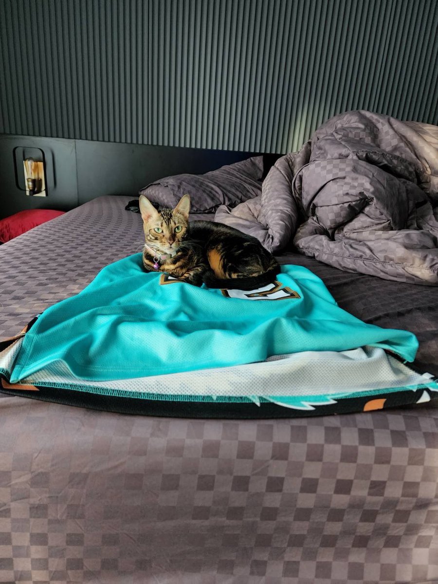 ทาสหากันทั้งบ้านว่าคุณนายก้าหายไปไหน ที่ไหนได้ คุณนายมานอนดูทีวีอยู่นี่เอง !! 😌😉