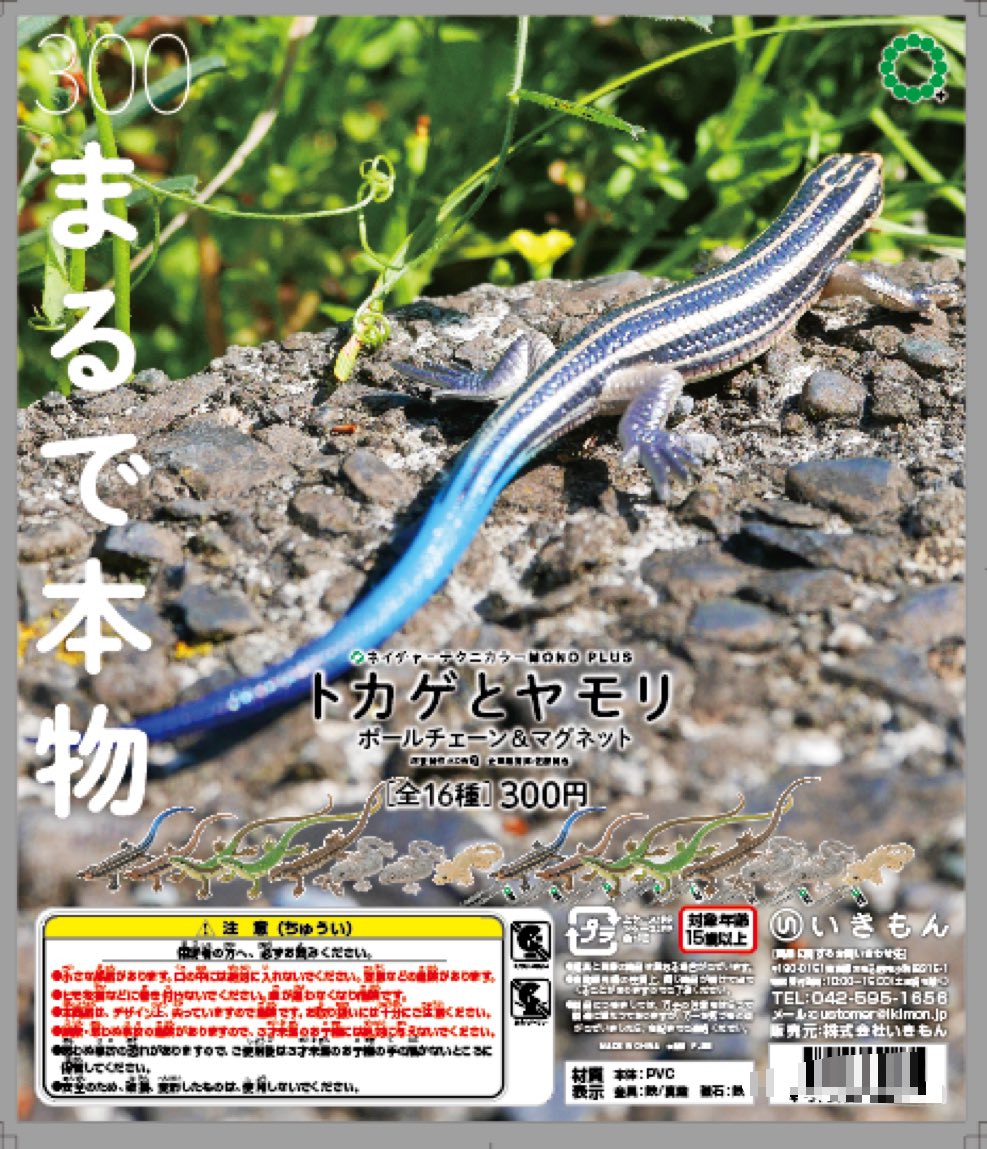公式 Mono ニホントカゲ フィギュア トカゲとヤモリ ボールチェーン ネイチャーテクニカラー Plus ガチャポン いきもん マグネット