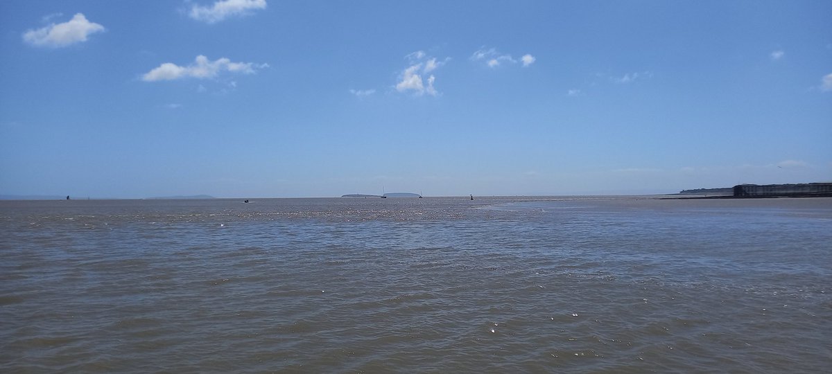 James Moss tweet media