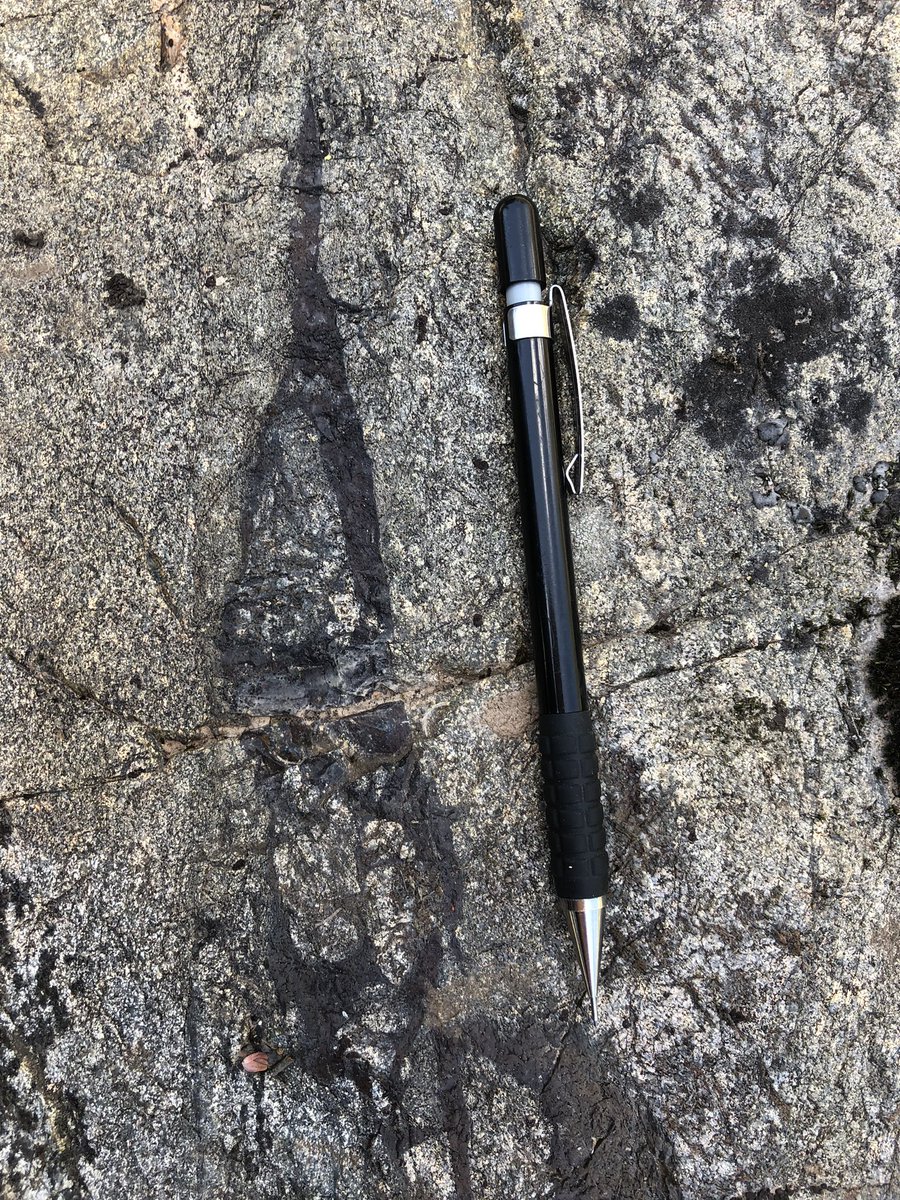 CU_in_the_field's tweet photo. 60 seconds of Earth history a billion and a half years ago. Pseudotachylyte sampling with colleagues this week in Colorado. https://t.co/4PPBr0IVh3