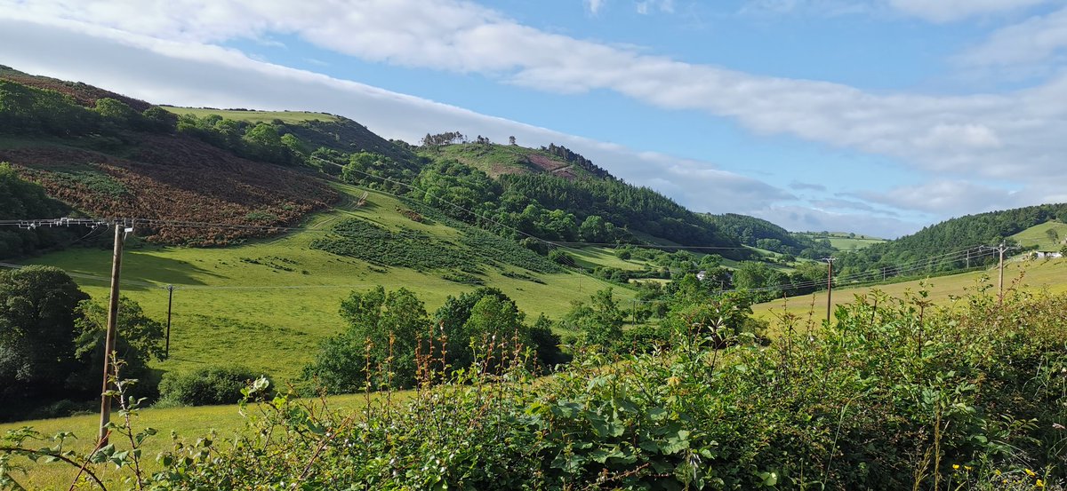 Amanda_Durber's tweet photo. Just went out and ran mixed road and trail. Exploring a new route. Didn't get lost but had to double back once or twice. All part of the fun on a Sunday morning 😎#NorthWales #running #trailrunning @absolute360 @RunWales @UKRunChat @runr_uk @RunSomeHQ https://t.co/Y9RnhCrK7U