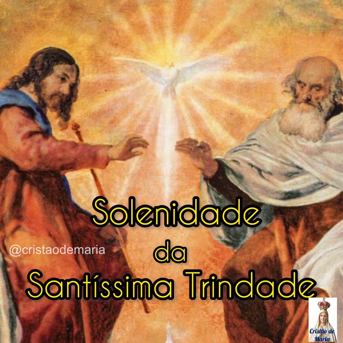 Crer e adorar a Trindade é deixá-la habitar e agir em nossa vida, é colocar em prática a palavra de Paulo: “Eu vivo, mas não sou eu, é Cristo que vive em mim.” (Gal 2, 20)
#SantissimaTrindade