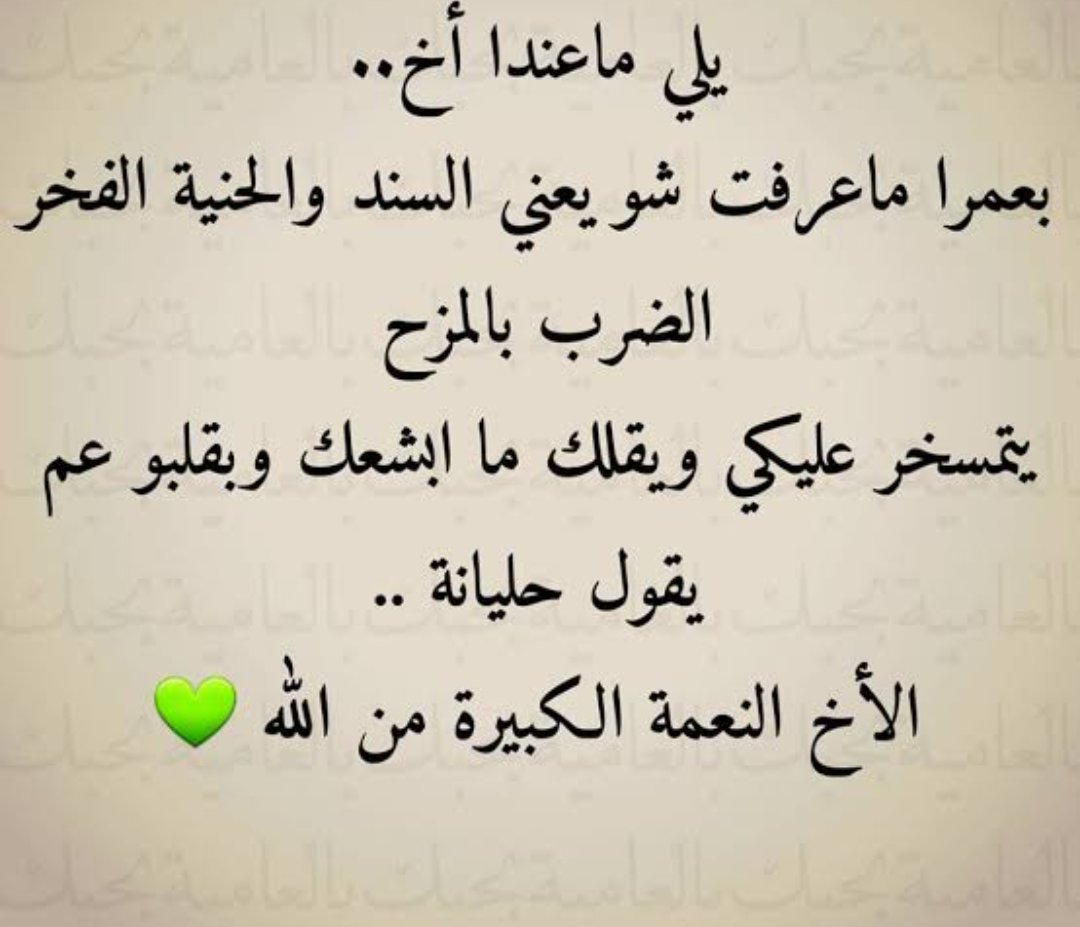 shimaa tweet media