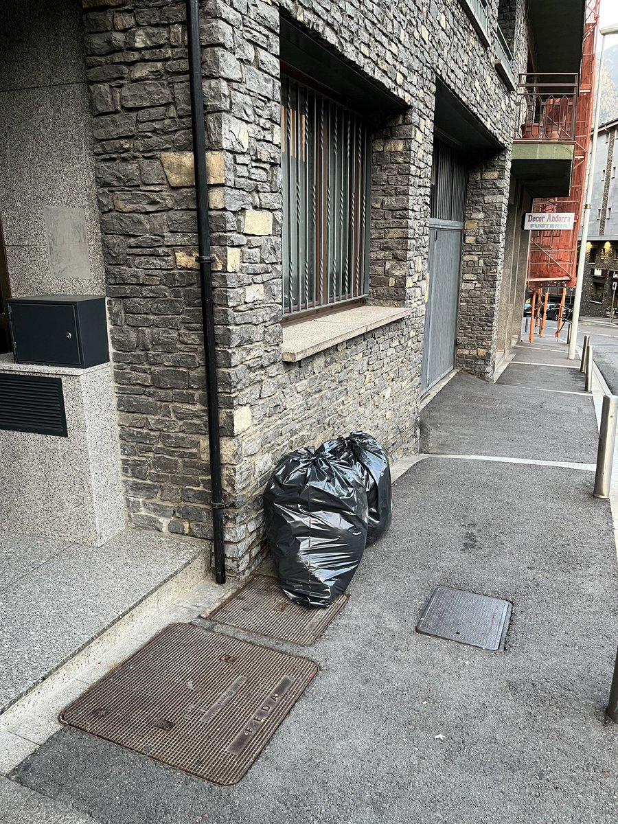 _JoanRibera's tweet photo. @comuee Aquesta setmana parlaveu de dignificar l’av. Fiter i Rossell treient el Panell de @Mobilitat_AND, però també hi ha altres coses importants, com podria ser obligar als edificis a posar contenidors. Imatges d’avui a les 21:00, el barri sembla un abocador… https://t.co/L9DEKvlLcL