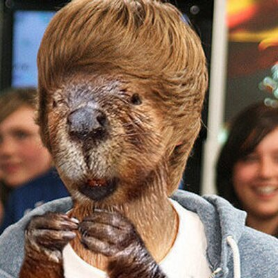 NFTLello's tweet photo. @nexxt_boi you mean Justin Beiver*? https://t.co/igxFiHgW4P