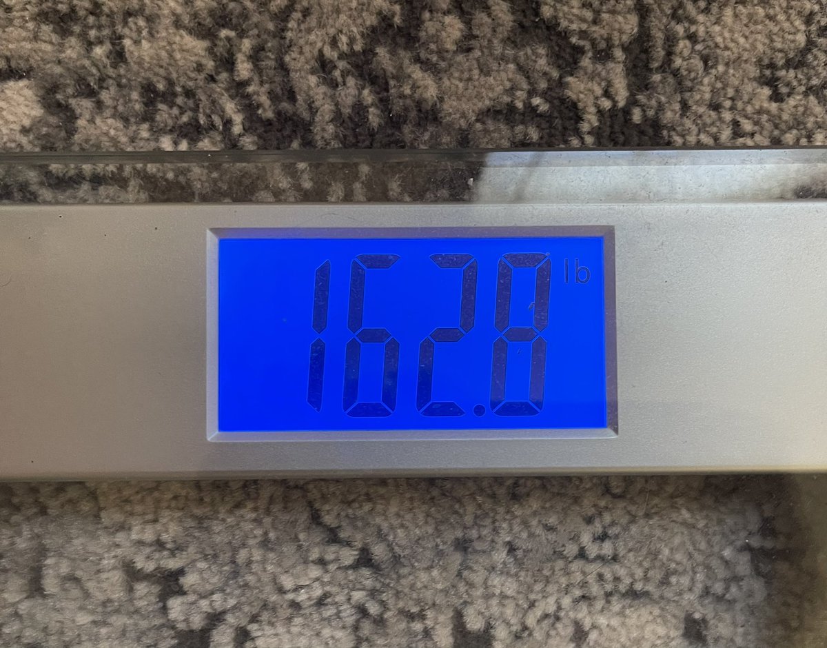 Stephen Stewart | Leviathan tweet media