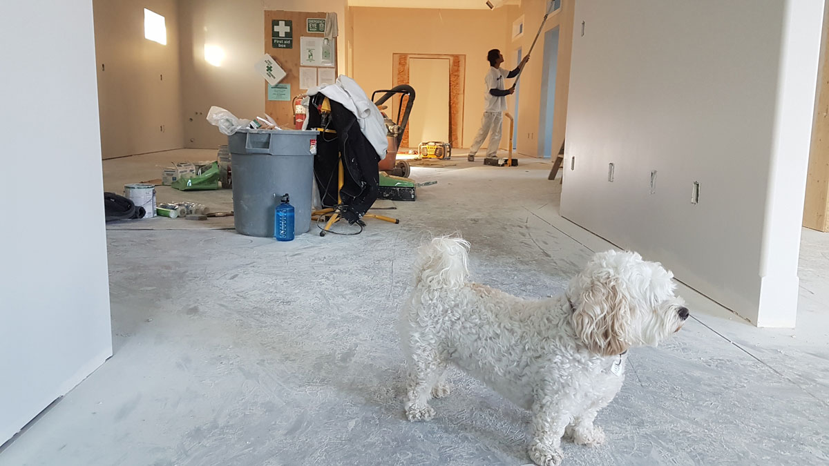 FloridaVillager's tweet photo. Plan Your Next #Home Renovation With These 6 Tips - https://t.co/cfYpFuMPed : #HomeAndDesign https://t.co/wKnLvFbMS9