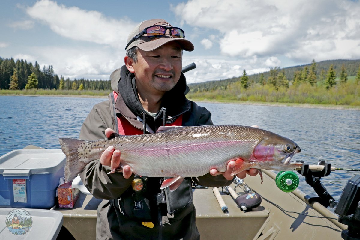 Fishingwithrod's tweet photo. Sunshine and big trout! #gofishbc #trout #fishing #explorebc https://t.co/nZ4Nj0bR4r