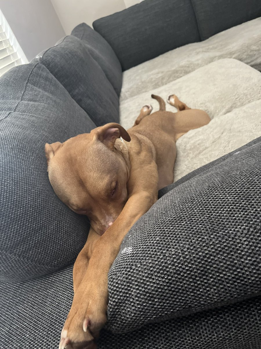The many sleeping positions of King