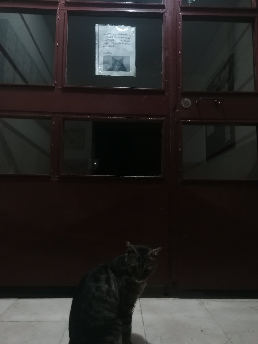 agazme's tweet photo. O derin bakış, o hüzün... https://t.co/tRsTDkobjY