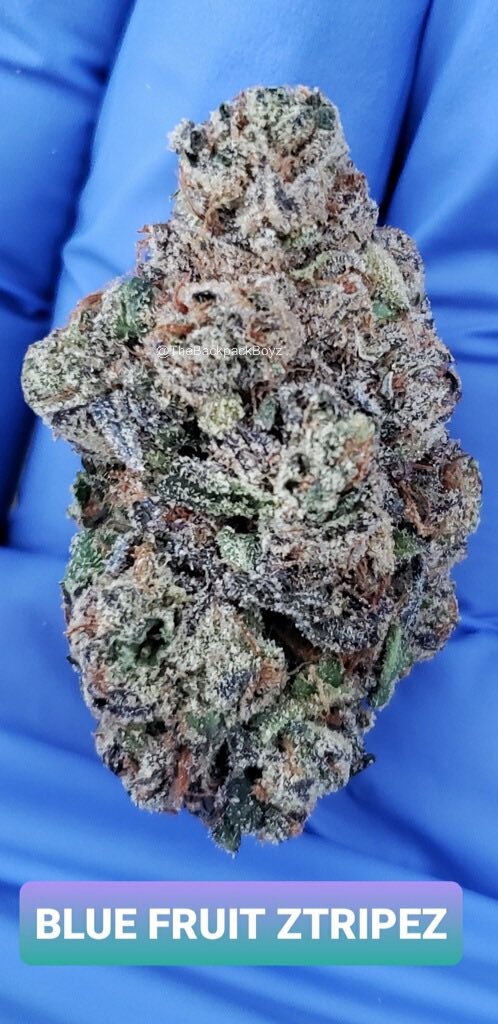 TheBackpackBoyz's tweet photo. Blue Fruit Ztripez #BlueFruitZtripez #TheBackpackBoyz https://t.co/emzlceGeVF
