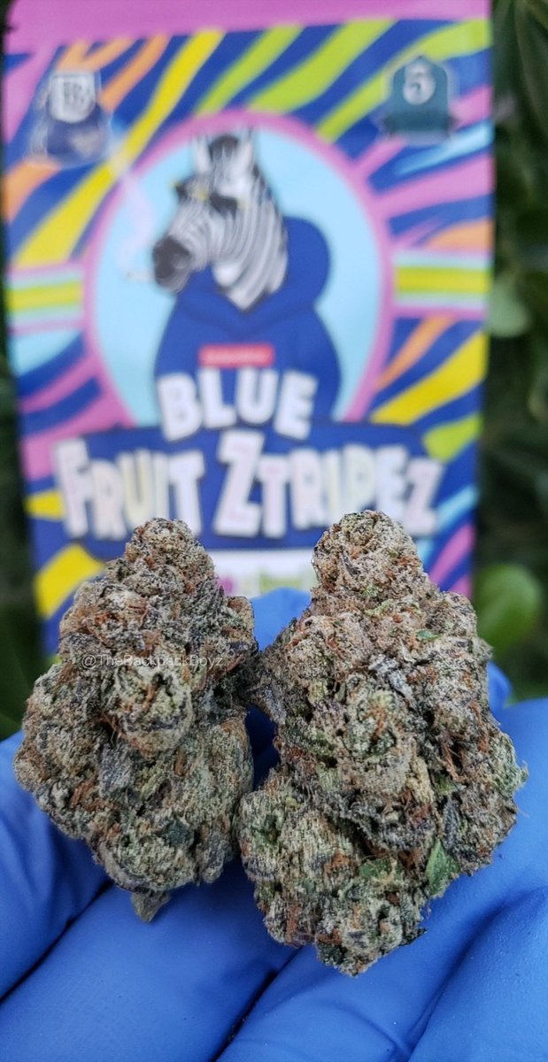 Blue Fruit Ztripez #BlueFruitZtripez #TheBackpackBoyz