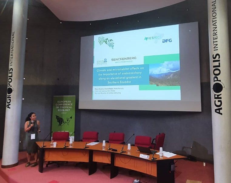 Happy to have attended #GTOE2022!
It was a pleasure to talk about #climate and #microhabitat effects on the importance of #endozoochory in the astonishing tropical #montane forests of Southern #Ecuador @TMF_Ecuador @geobiodiversity @goetheuni