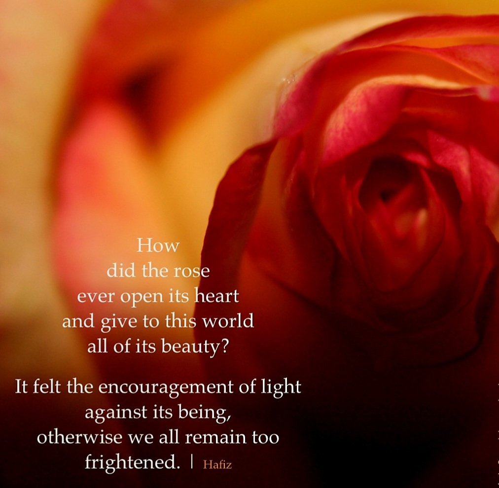 Zaffar Hussain (@zaffarh25889229) on Twitter photo 