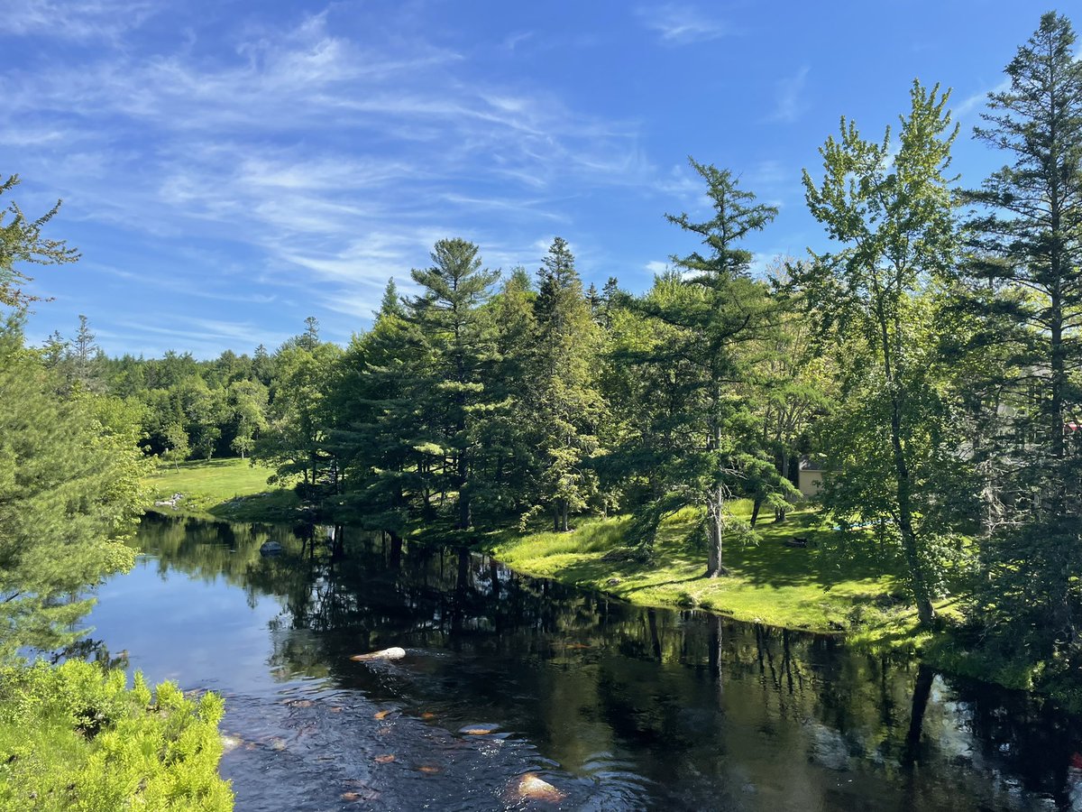 MennaRiley's tweet image. A little slice of heaven