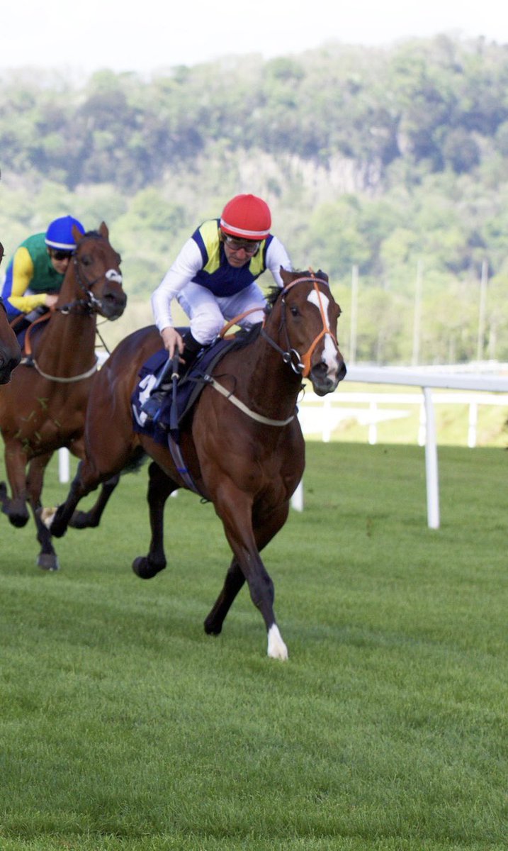 COMPETITION GIVEAWAY 💰🐎

On the eve of Royal Ascot week we have a 2.5% share to giveaway in Kessaar Power worth over £1800

All you have to do is 

Retweet this post, Like this post, and Follow our account ✅

Each person you tag counts as an extra entry 🙌