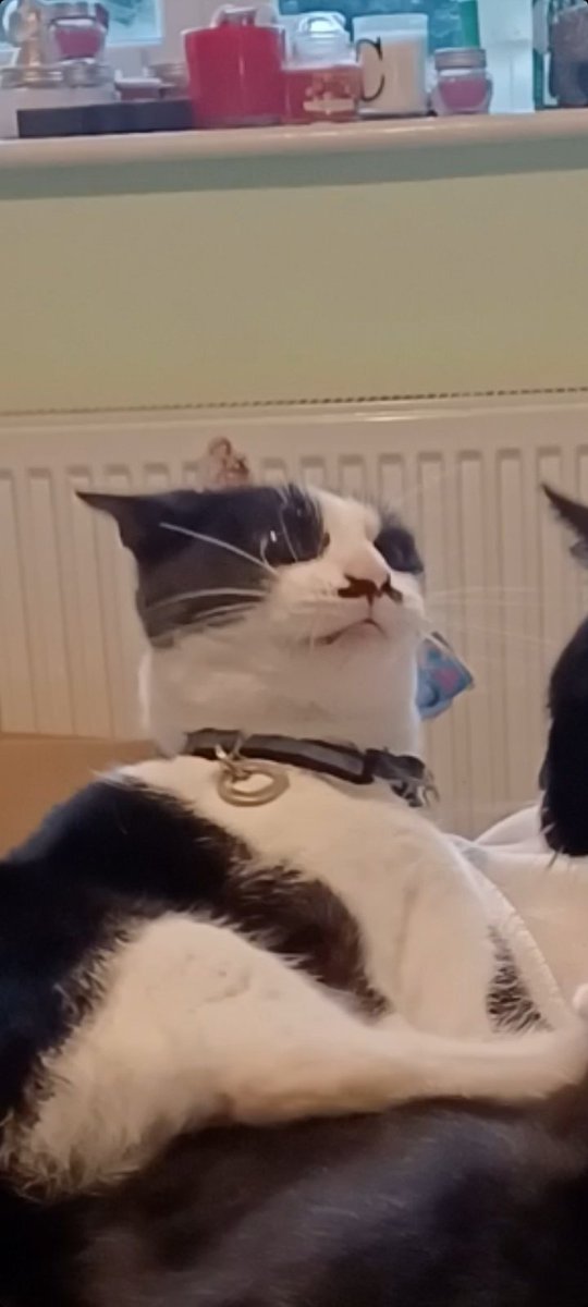 Carcher95's tweet photo. Crying over this picture of Flora rn I can't 😂😭 https://t.co/X4eiHfOPA8
