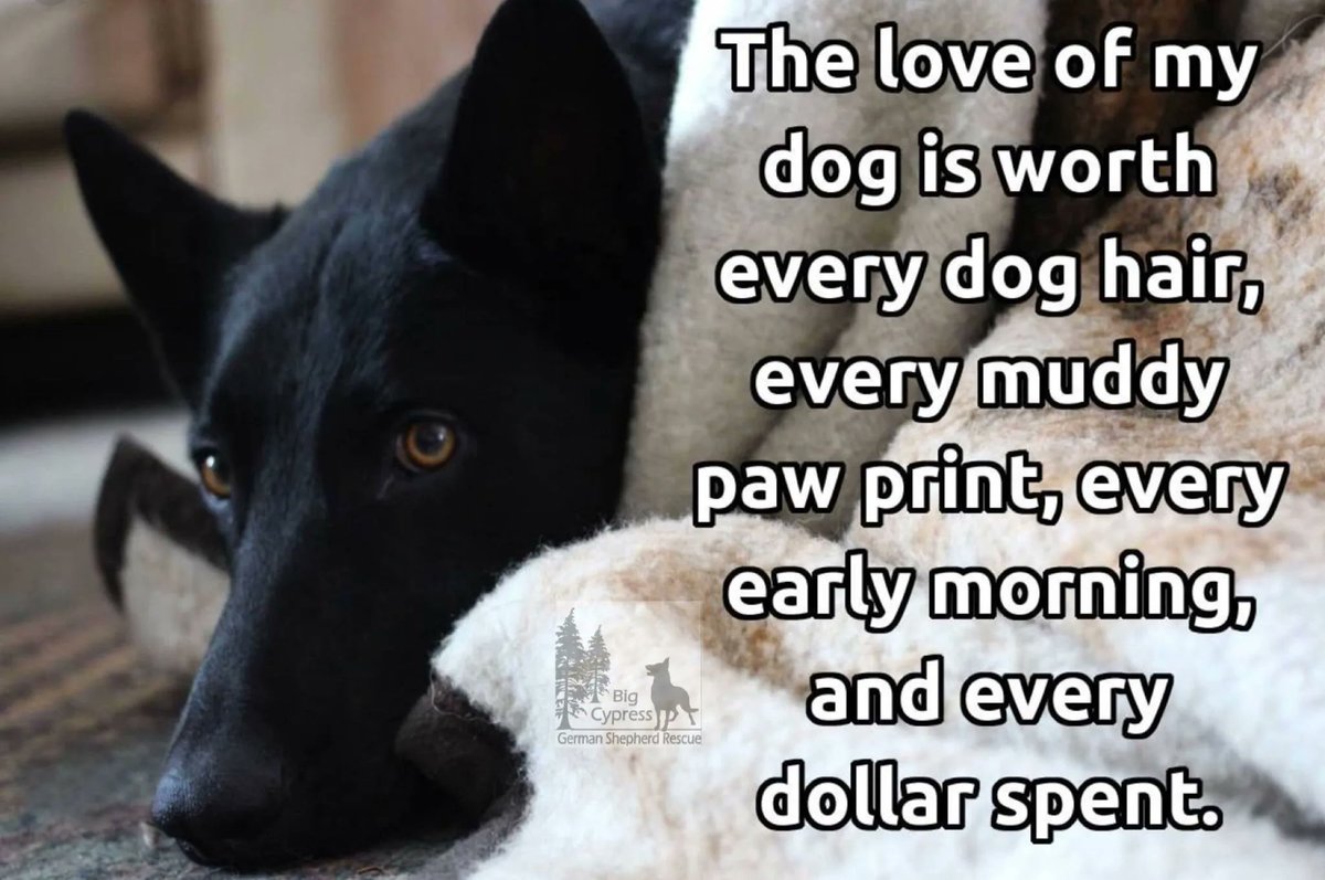 BCGSR (@bc_gsr) on Twitter photo 