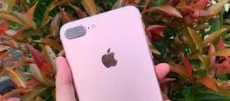 chitaglorya3rd's tweet photo. giveaway 300$ | 4,200,000 IDR
iphone 7plus for one winner🌴

-- rt &amp; follow @coryswan 

ends in 48 hours dears (repost🍒) https://t.co/WBMiPDfo1r