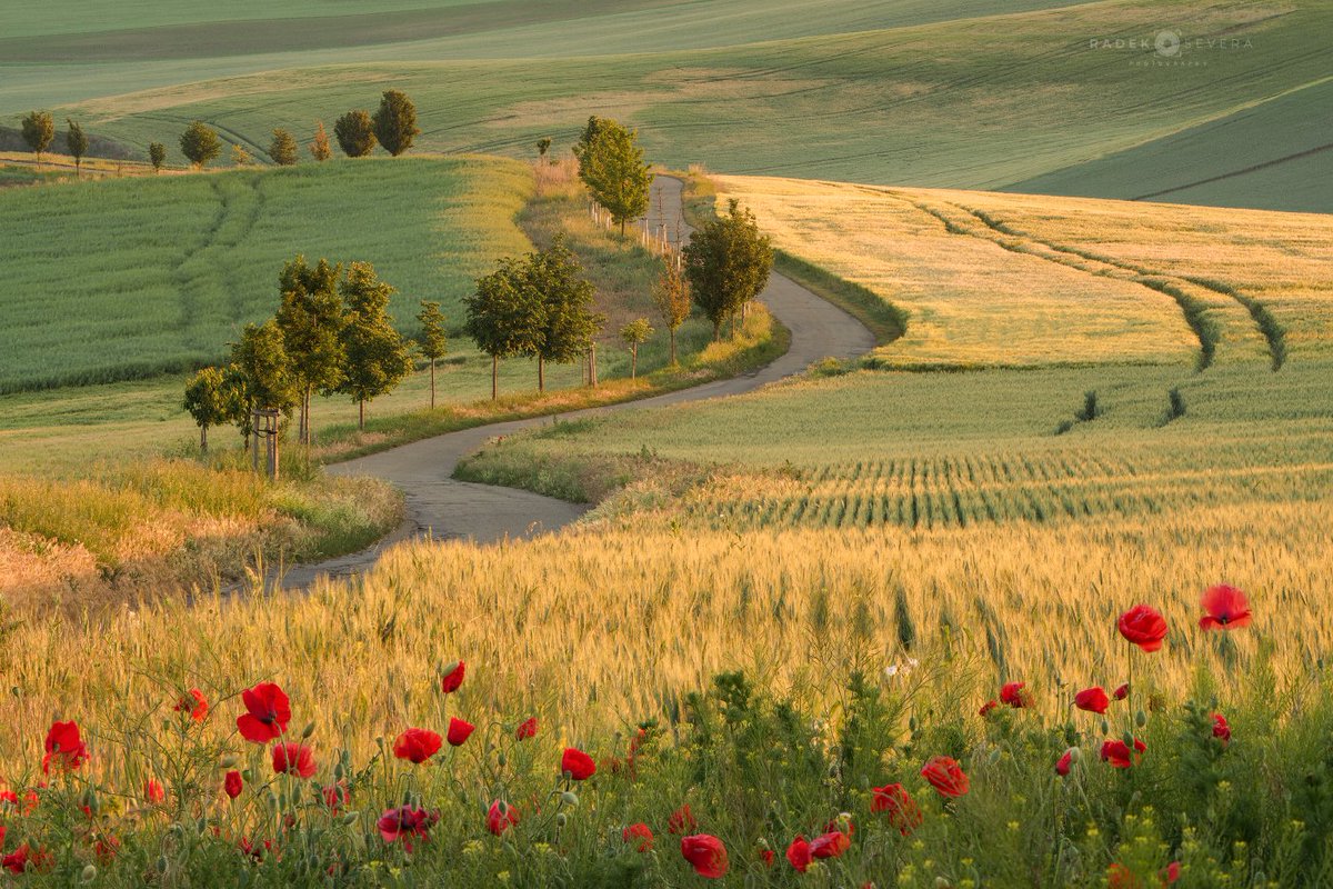springtearoses's tweet photo. Home. (Czech Republic) https://t.co/zOPKQOKn4g