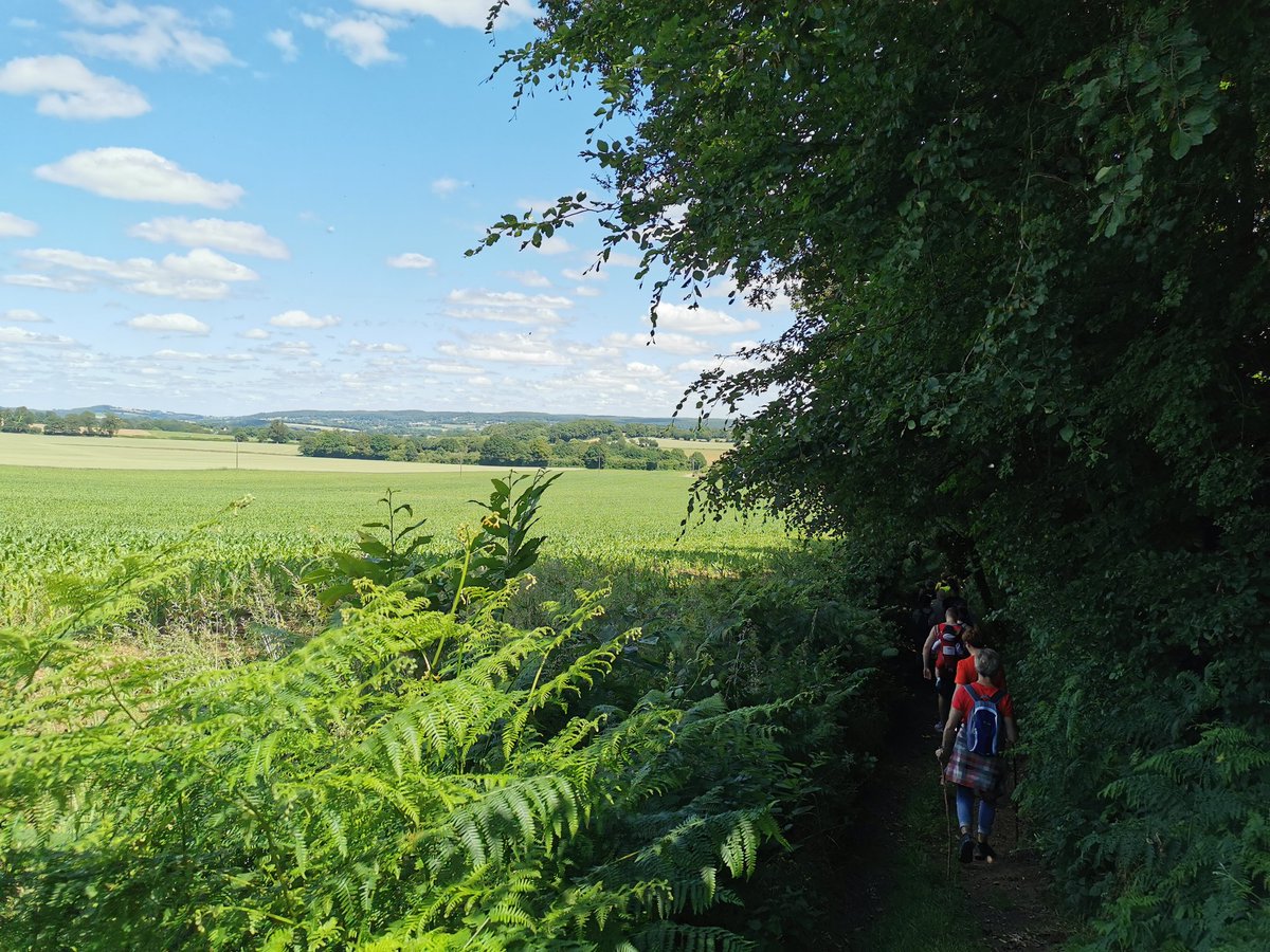 eric53000's tweet photo. Inauguration du circuit de randonnée no 40 au départ de #Vimarcé sur la commune nouvelle de #Vimartin. Une belle vue de chaque côté de la colline lorsque l'on atteint le chemin de crête. Bravo aux bénévoles 👏🥾
#ParcoursRando40 #randonnée @lescoevrons
https://t.co/EeitZIhgxG https://t.co/Y3O6KznvqM