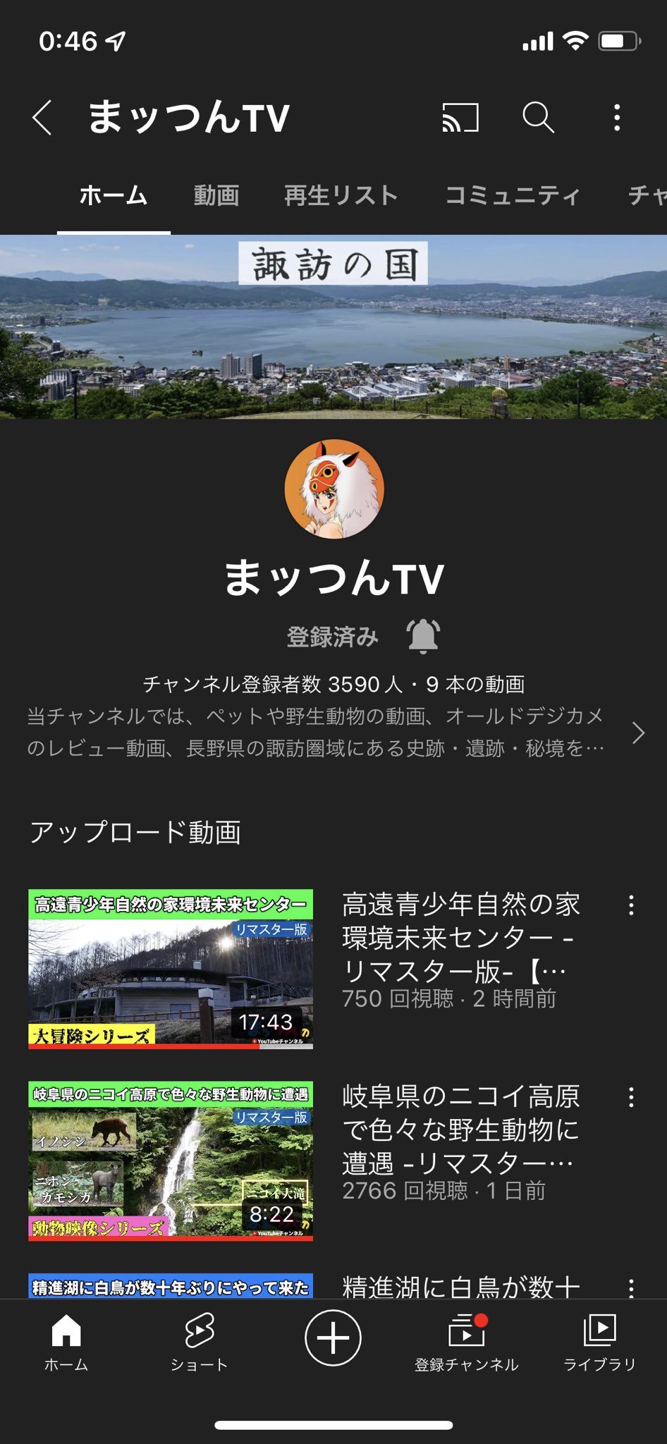 菊咲一花 Twitter Search Twitter