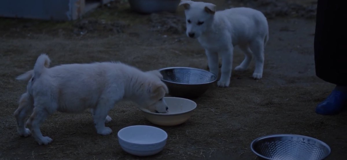 Seokminnie Ft.Series Addict 🐶 tweet media