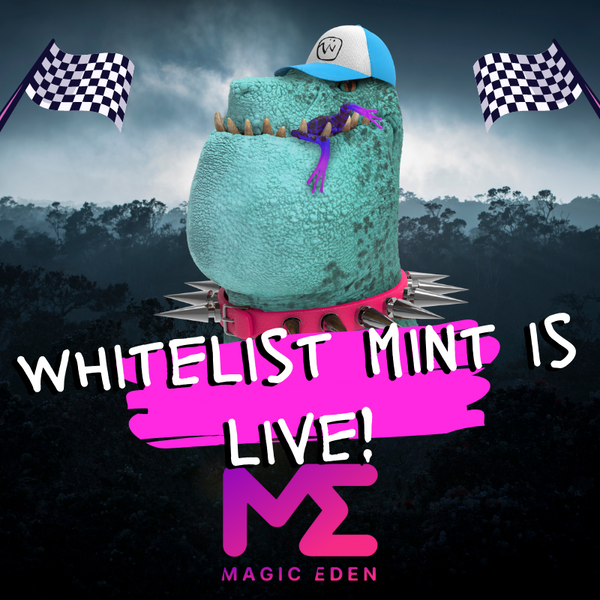 DinodawgKingdom's tweet photo. AND GO!!! WHITELIST MINT IS LIVE! Head to @MagicEden to mint! RAWR! 🦖🦴™️🚀 https://t.co/4WteXVXYa2