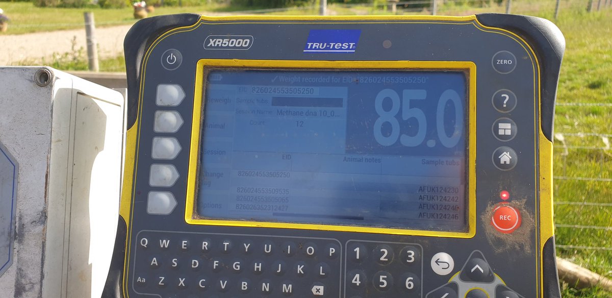 AdvisoryBlyth's tweet photo. Out on-farm friday helping set up their @TruTest #XR5000 so they can record the Tissue sample tub number to the #sheep #EID and also record the weight of the animal all in one go. #EIDTraining #EIDSupport #UsingEIDData @DatamarsAgriUK #SheepVets https://t.co/zgiFgtObyI