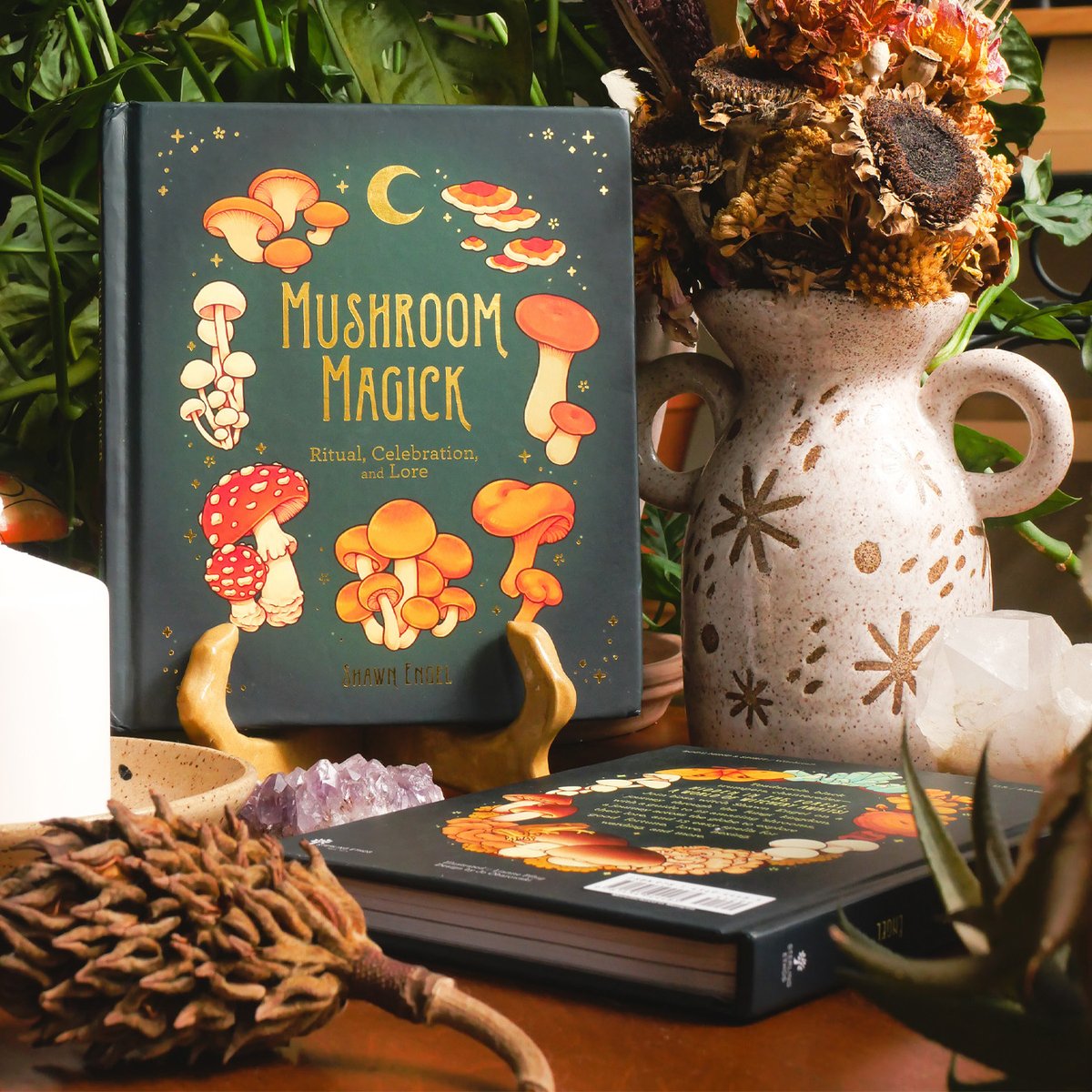 loonpflug's tweet photo. friends, i have big news to share... i illustrated my first book!! mushroom magick is available now✨🌙 it's so incredibly surreal to have my first published artwork sitting on my bookshelf right now ; _ ; 💛 https://t.co/WB4sooyzVC