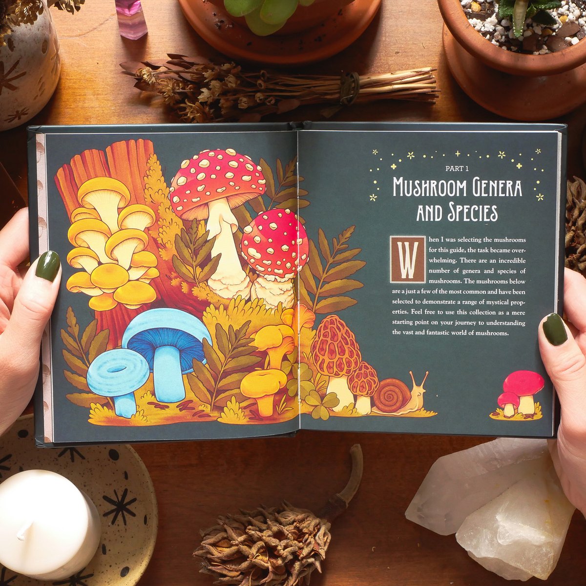loonpflug's tweet photo. friends, i have big news to share... i illustrated my first book!! mushroom magick is available now✨🌙 it's so incredibly surreal to have my first published artwork sitting on my bookshelf right now ; _ ; 💛 https://t.co/WB4sooyzVC