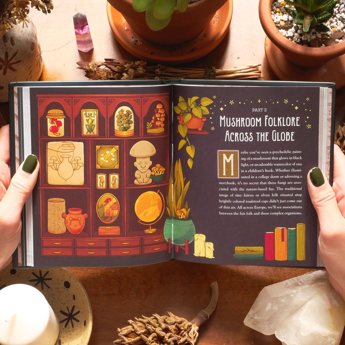loonpflug's tweet photo. friends, i have big news to share... i illustrated my first book!! mushroom magick is available now✨🌙 it's so incredibly surreal to have my first published artwork sitting on my bookshelf right now ; _ ; 💛 https://t.co/WB4sooyzVC