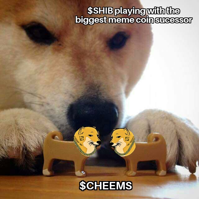 1PaimonSheriff_'s tweet photo. @CheemsInu My entry @CheemsInu
#CheemsMemeContest
#BNB #BSC #Binance #CheemsInu
#giveaway https://t.co/5uzjmkK6v3
