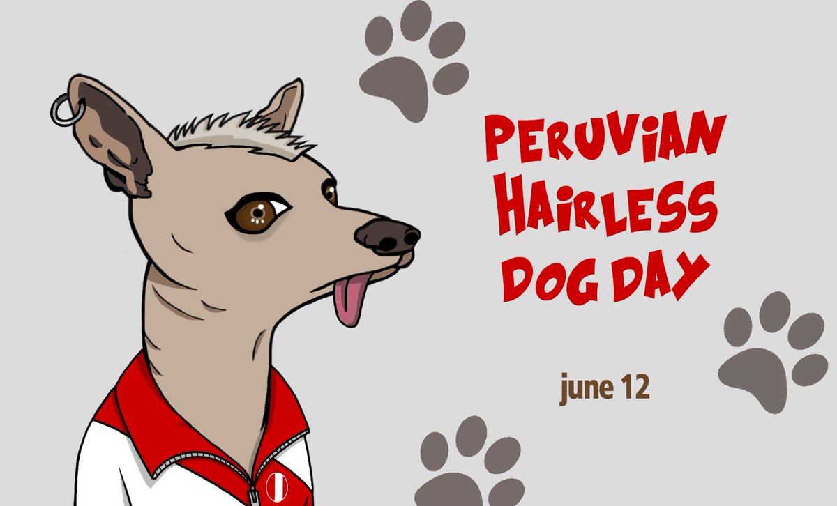 Peruvian Dog Club | MINT IN LIVE tweet media