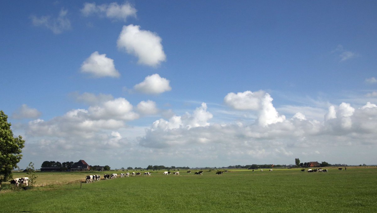 Lichtgroen op de kaart: reductiedoelstelling 70 %. En nu? #stikstof