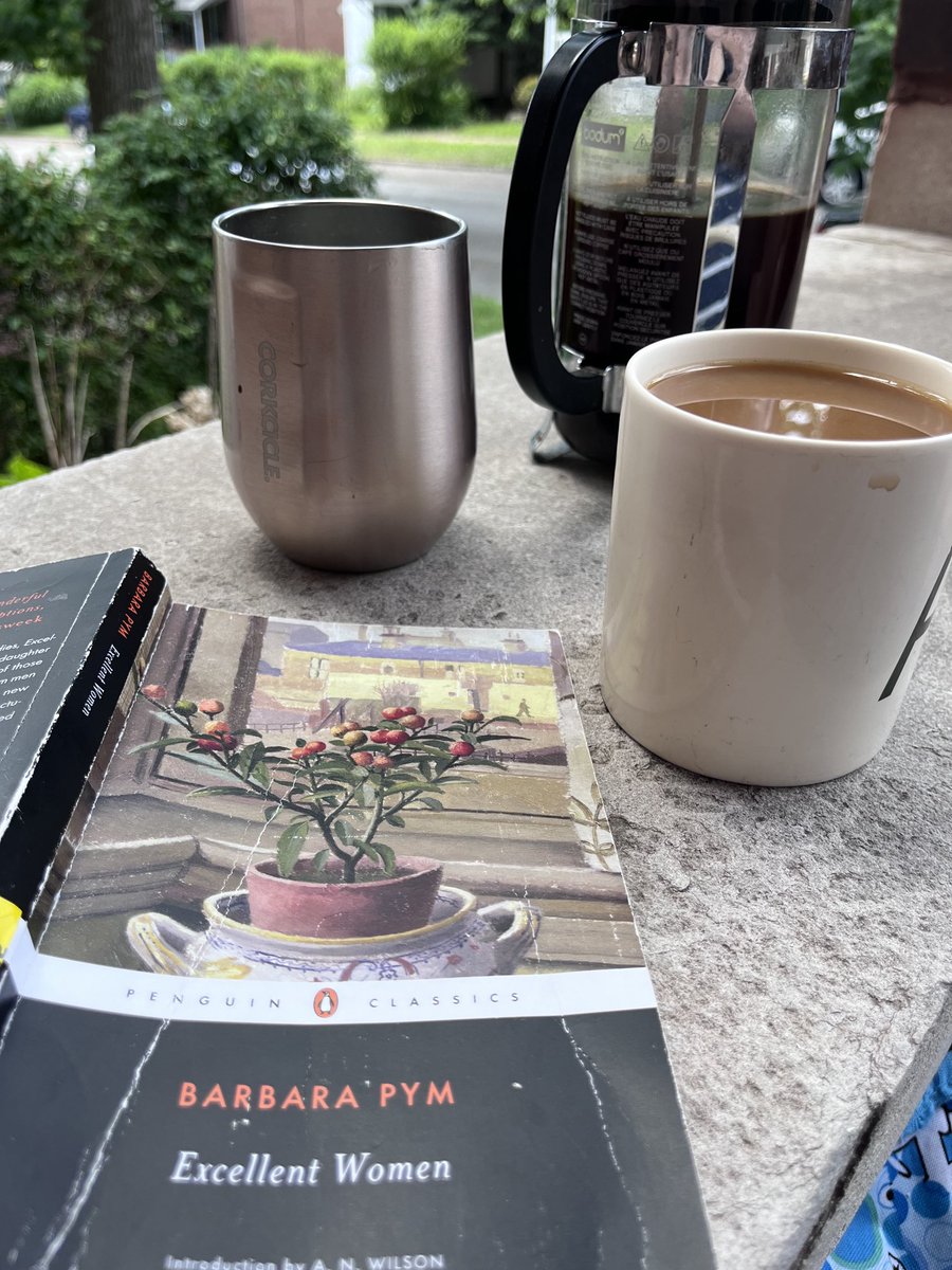 annecmccarthy's tweet photo. Excellent Women by Barbara Pym #WhatImReadingToday, it’s not so bad in the shade edition https://t.co/gitUv5FHiM
