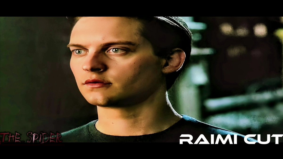 TheSpider_02's tweet photo. Escena alternativa de Spider-man 3 donde Peter va a pedirle ayuda a Harry para derrotar a Venom y Sandman

Alternate scene from Spider-man 3 where Peter goes to ask Harry for help in defeating Venom and Sandman
@SonyPictures #ReleaseTheRaimiCut #RaimiCut #spiderman3 #deletedscene https://t.co/OR3geRc8Oe