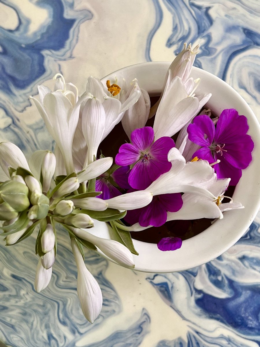 The summer beauty, along with the sounds of the birds, is a great escape from the news.
#beauty #summer #Flowers